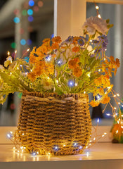 Fairy String Lights 4 Pack 10 Ft 120 LEDs Battery Operated with Timer for Christmas Decor (warm white+cool white)